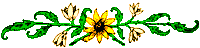 bordure.gif (1994 octets)