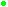 pun4.gif (270 octets)